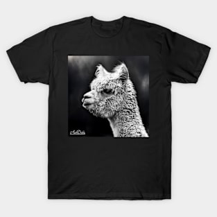 LLAMA LIFE T-Shirt